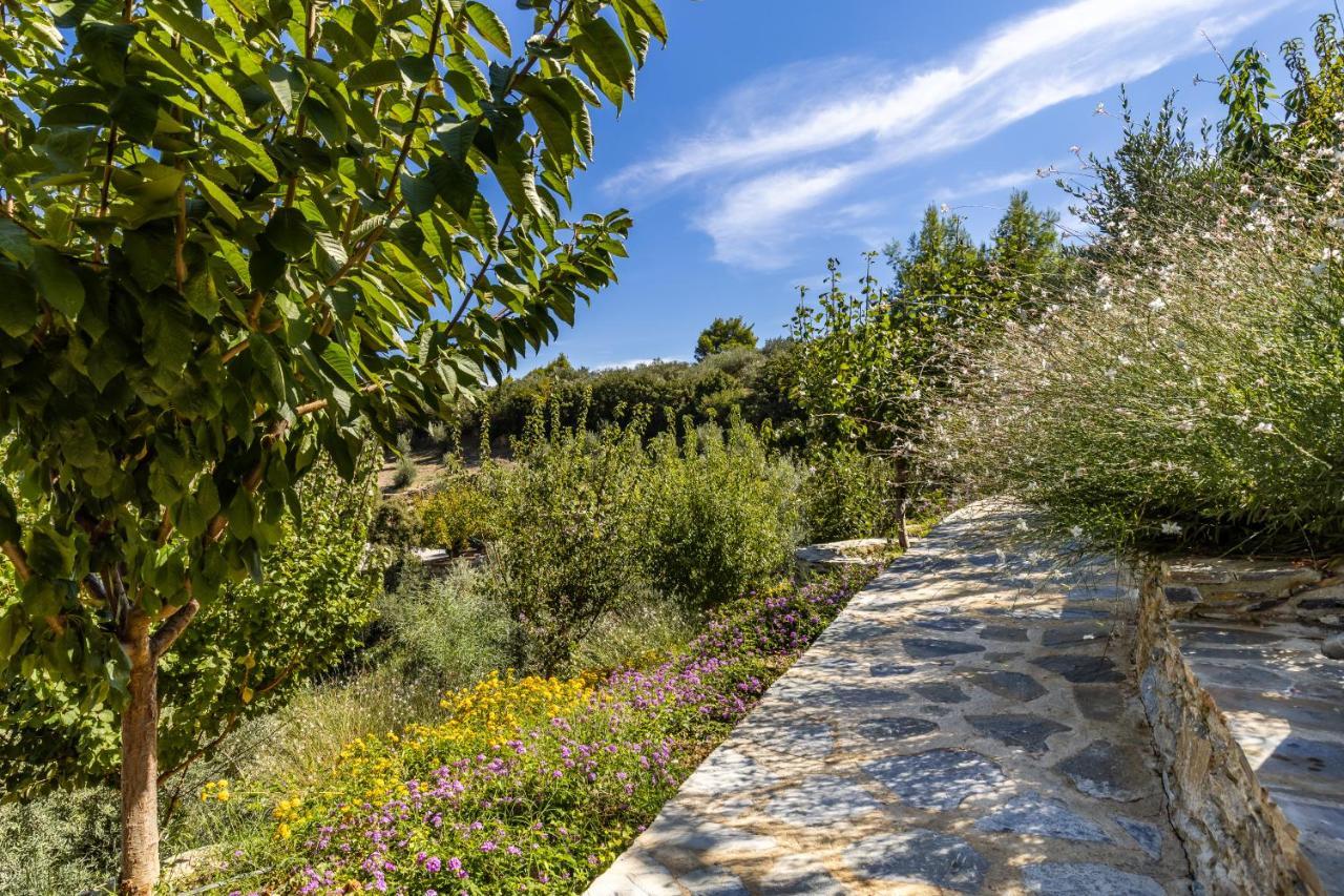 Villa Politimi Luxury Retreat Skopelos Town Exterior photo